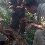 Justin Hall Explorer honey Hunting Bolivia tribes