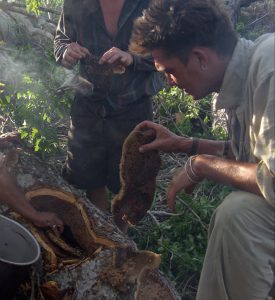 Justin Hall Explorer honey Hunting Bolivia tribes